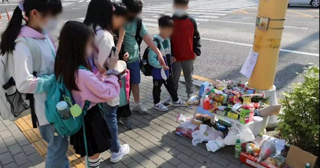 ‘스쿨존 음주운전, 신호위반 엄중 처벌’ 국회 청원에 참여 이어져