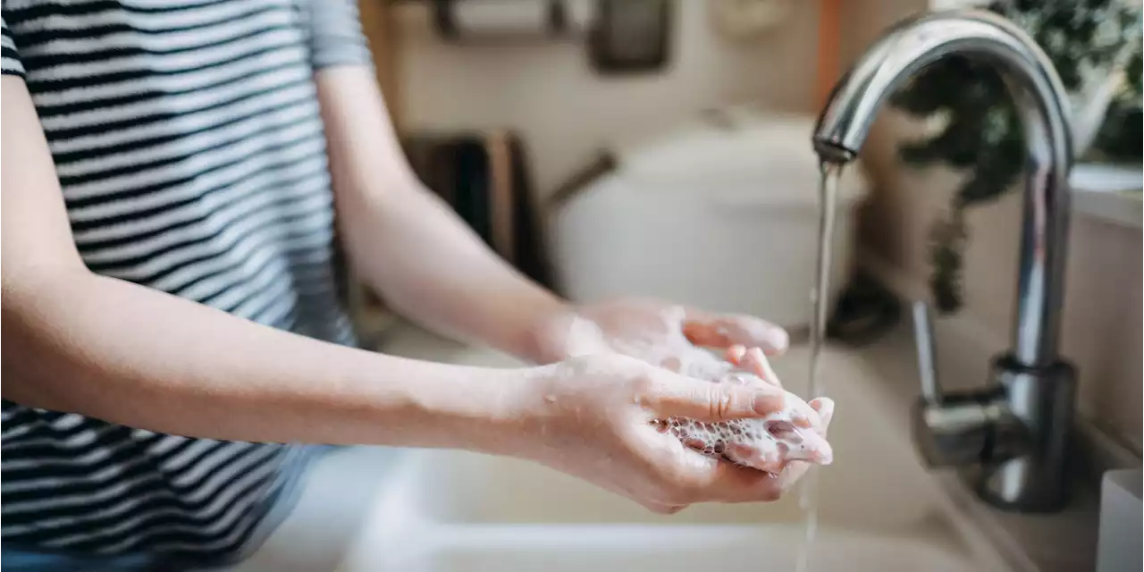 Using This Type of Soap May Make You a Mosquito Magnet, Study Finds