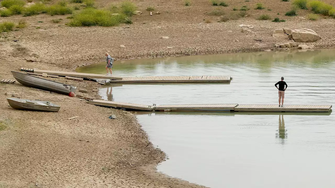 Lluvia de millones al campo y Doñana: la sequía calienta la campaña