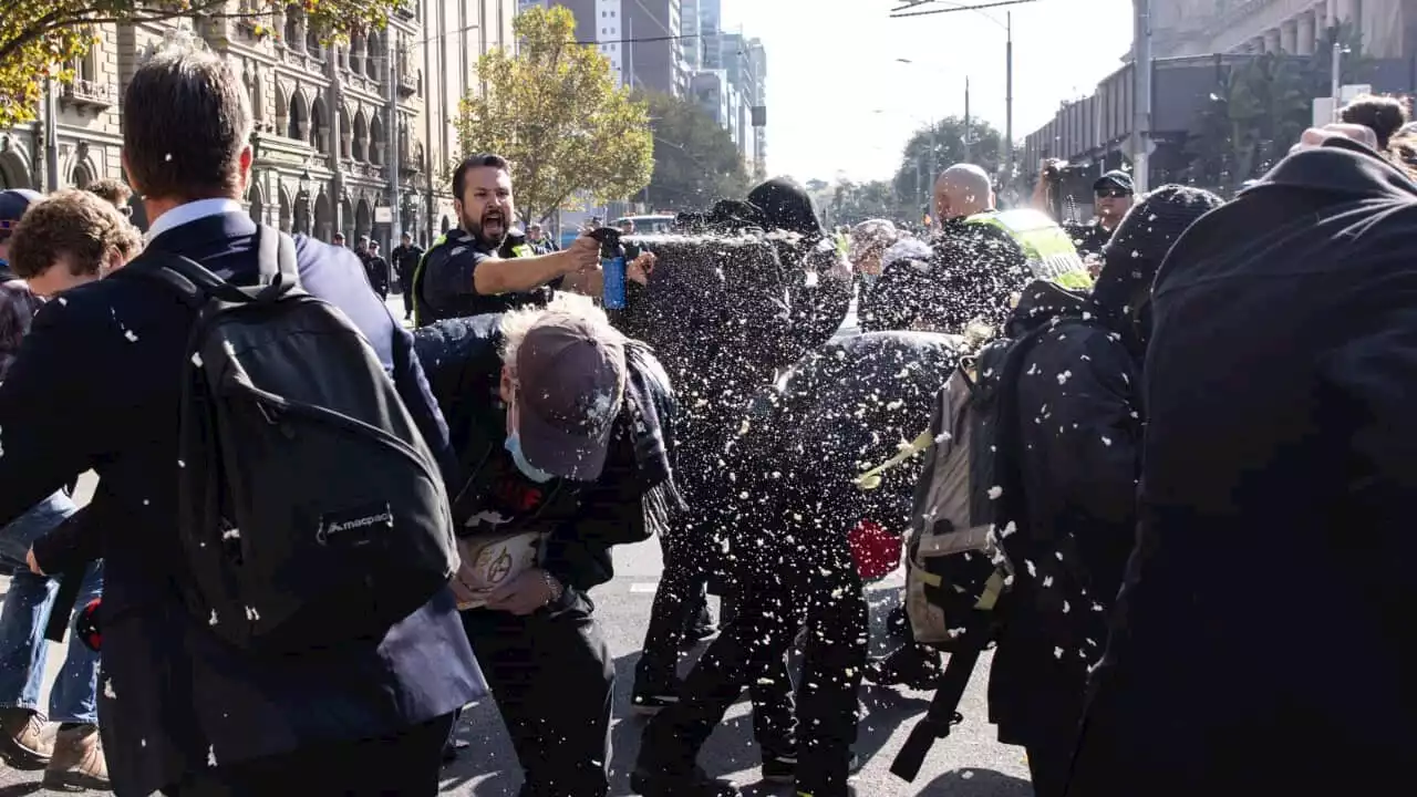 Nazi salutes and clashes: Wild scenes as protesters face off at anti-immigration rally