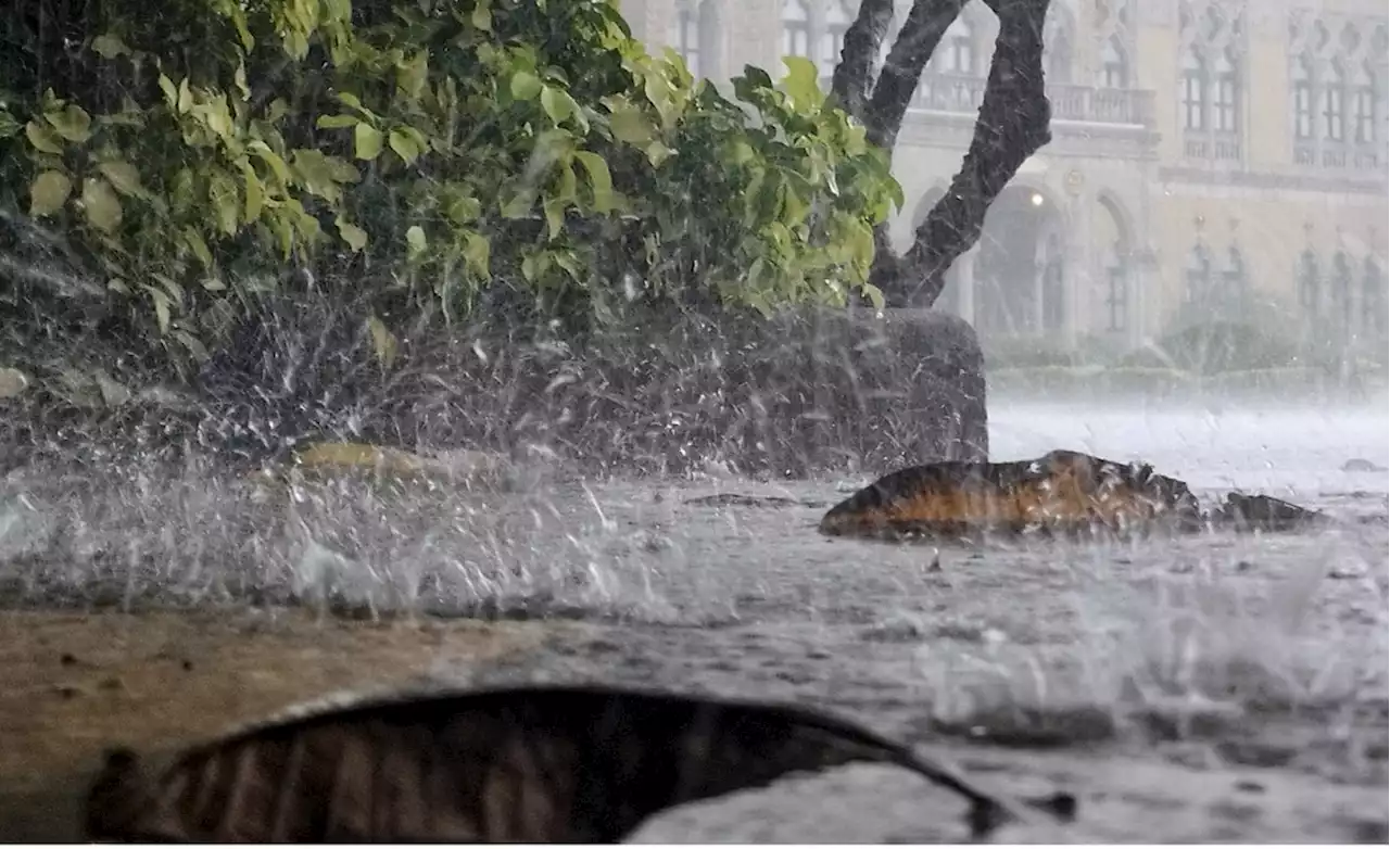 พกร่มไปเลือกตั้ง!! กรมอุตุฯ เตือนฝนตกทั่วไทย 14 พ.ค.นี้