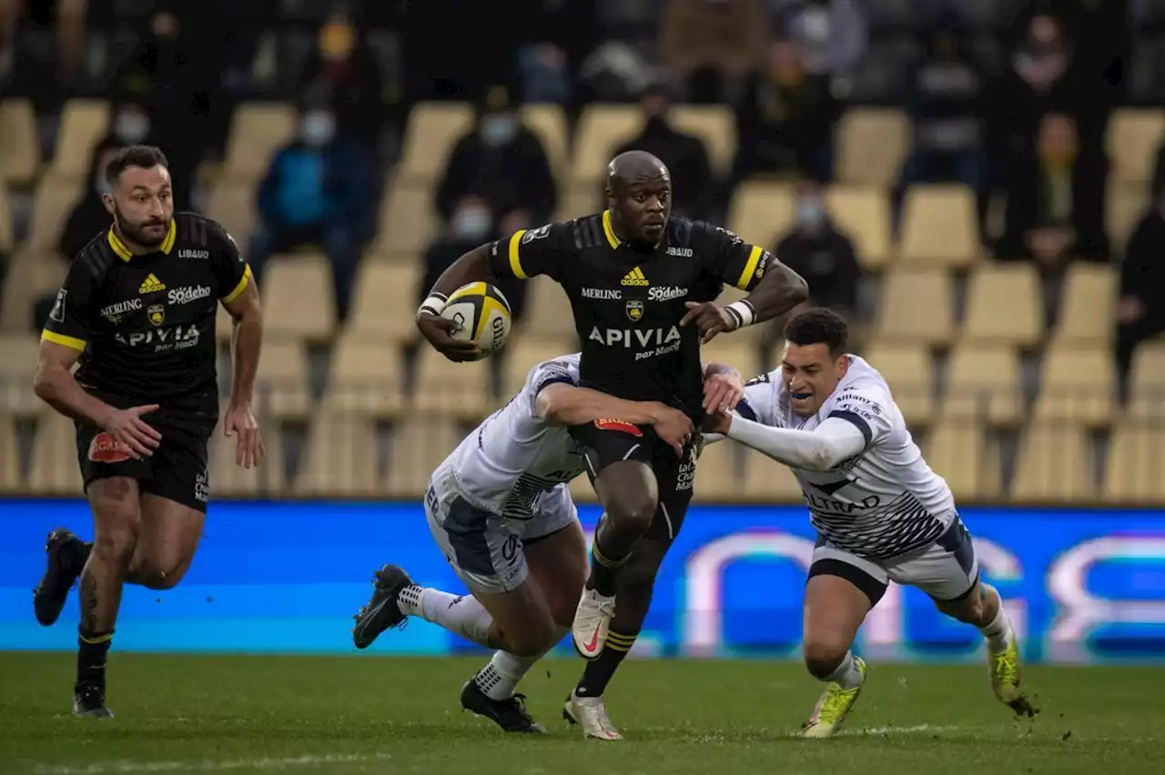 Top 14 : en images, les précédentes confrontations entre le Stade Rochelais et Montpellier