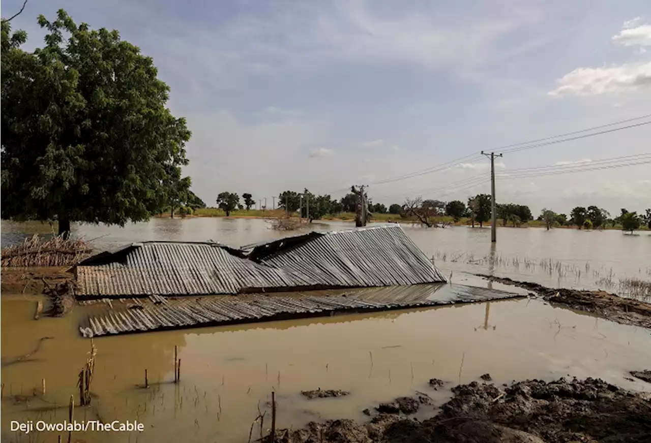 NiMet asks 12 northern states, FCT to expect thunderstorms, floods | TheCable