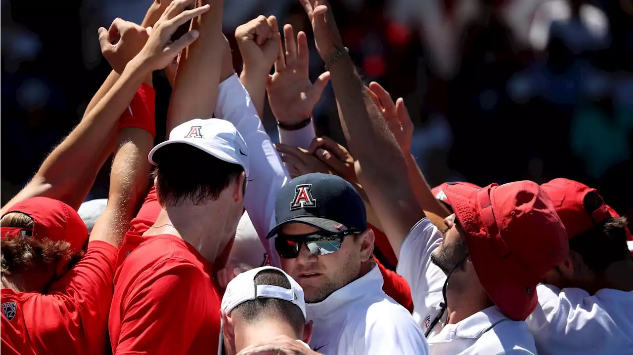 UA coach Clancy Shields expects victory despite Cats' underdog status in Sweet 16