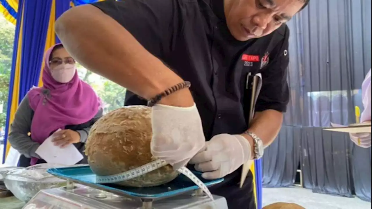 Pemkot Bikin Festival Pentol Ukuran Jumbo di Bakso Malang Fest