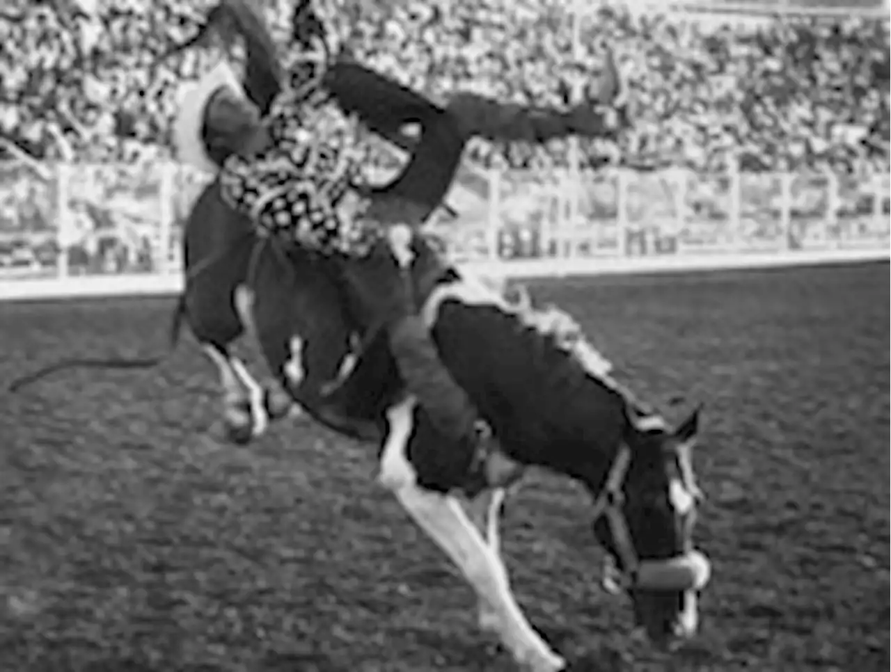 Larry Mahan, rodeo cowboy whose fame transcended the arena, dies at 79