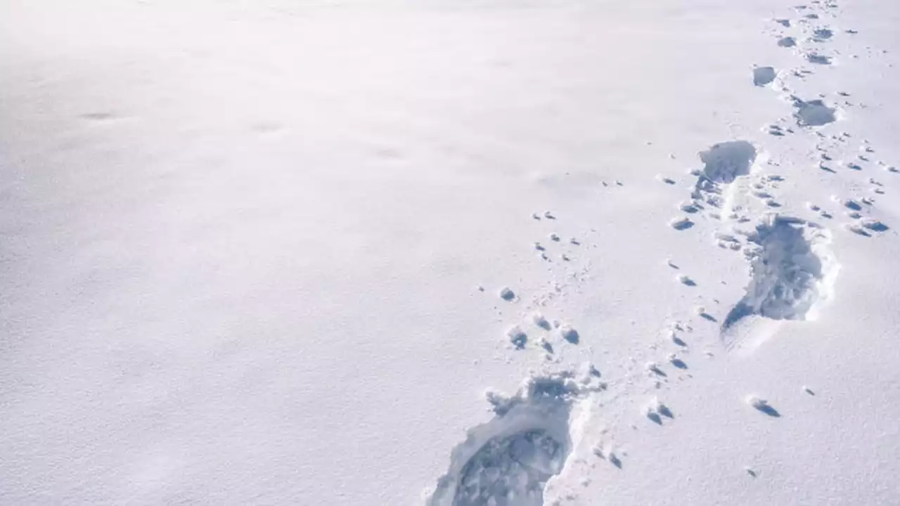 Teen hiker rescued from chest-deep snow in Glacier National Park