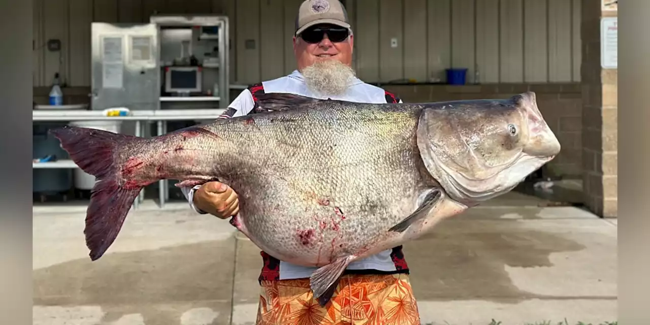 Man sets state record with 118-pound bighead carp