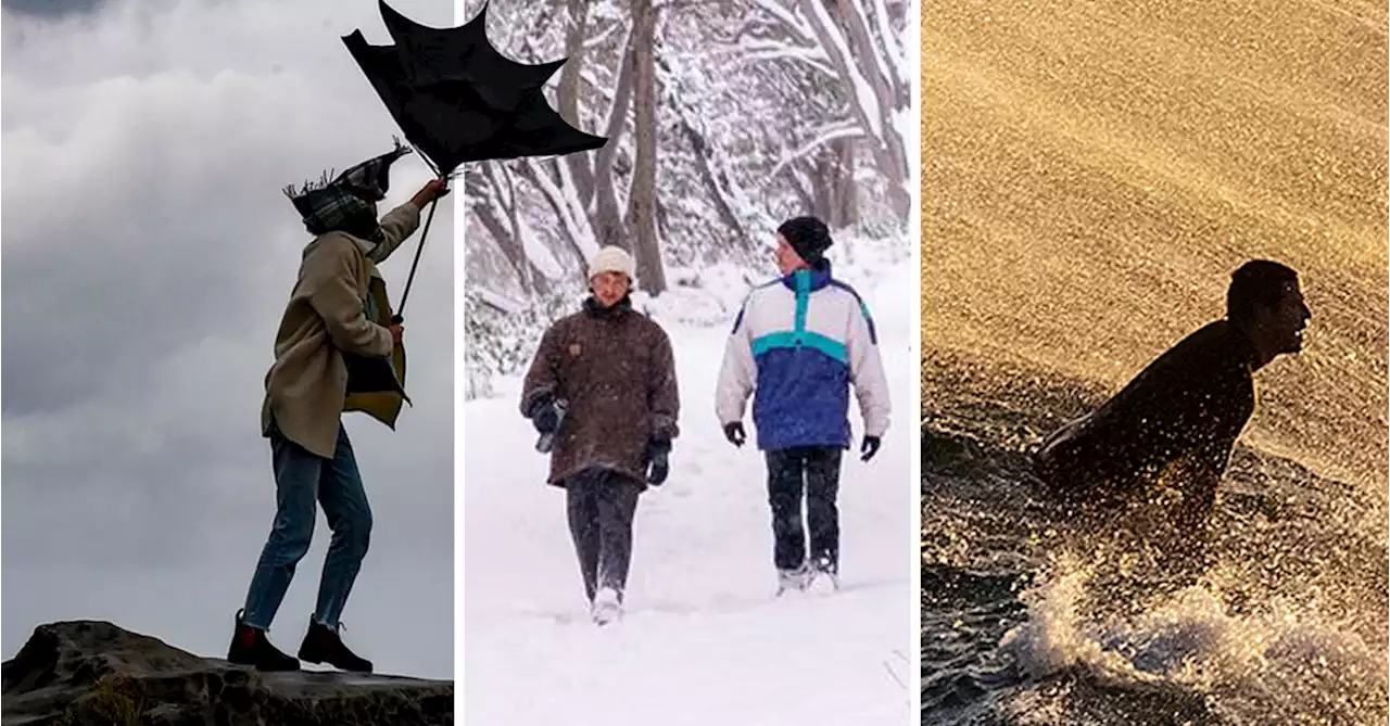 Warm or cold, snow or no: What can Australians expect this winter?