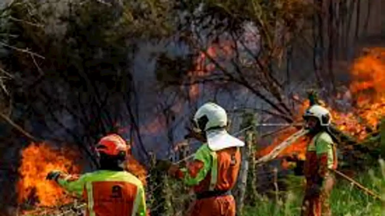 Los bomberos aseguran que la falta de coordinación entre los distintos cuerpos puede costar vidas