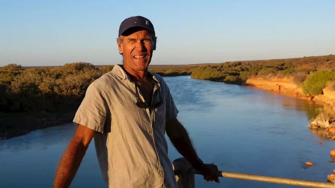 Fears for fish stocks in Shark Bay's World Heritage marine ecosystem