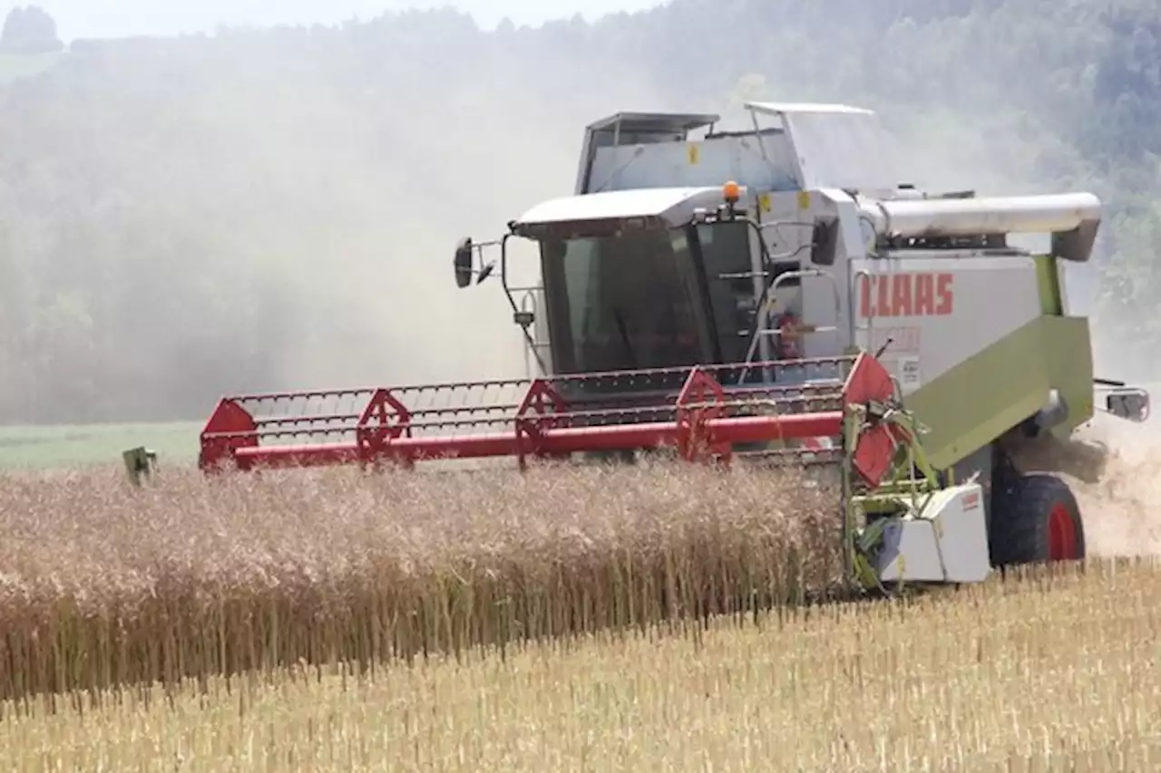 25'000 Tonnen Getreide und Ölsaaten für die Getreide Züri Nord AG - bauernzeitung.ch