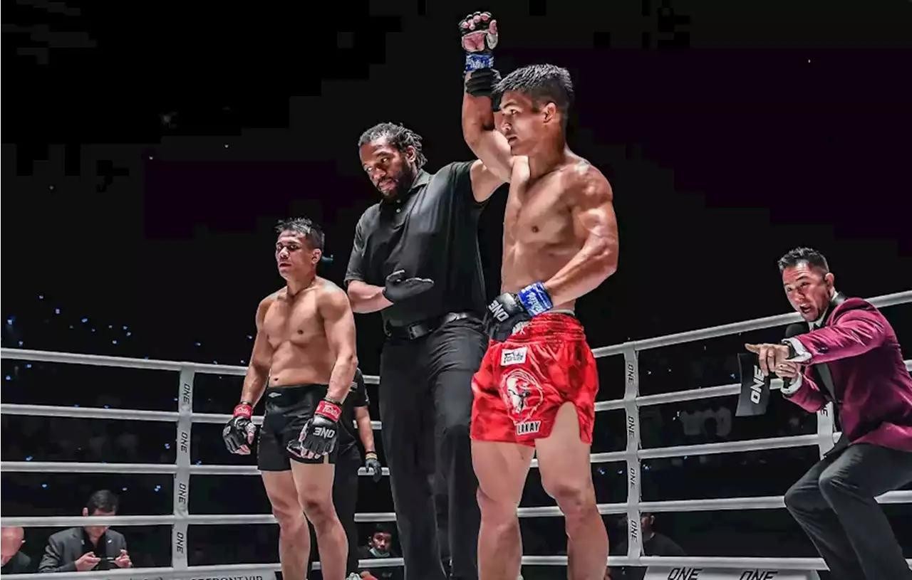 Eko Roni Nilai Kesuksesan One Fight 10 Buat Laga UFC Tenggelam