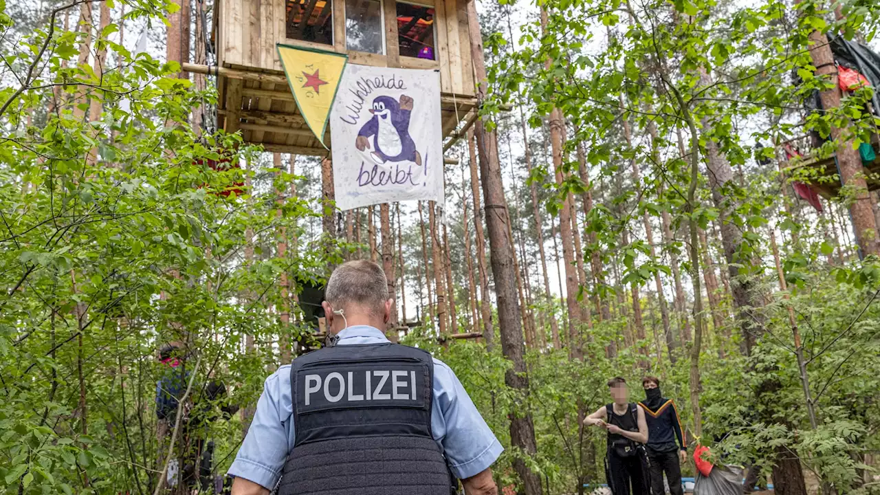 Umwelt-Extremisten besetzen Bäume in der Wuhlheide