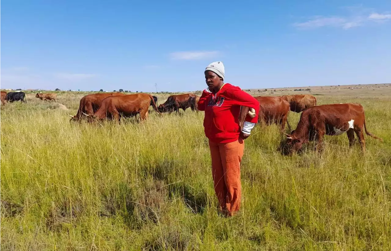 She walked away from a corporate career to herd cattle | City Press