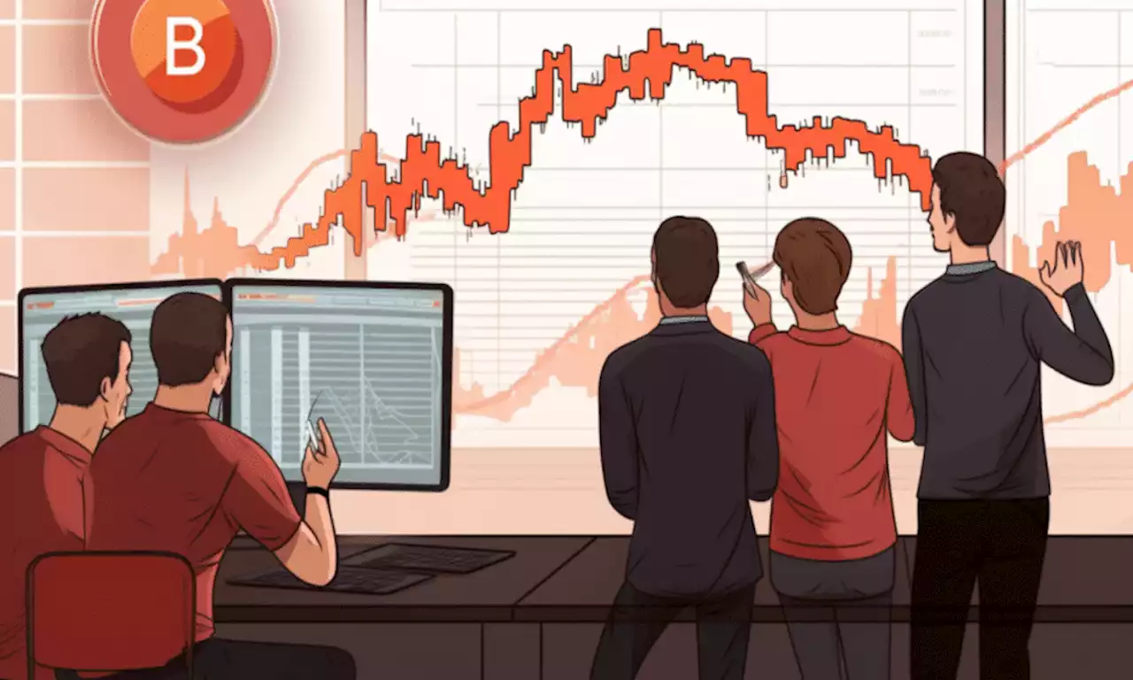 With Bitcoin Cash node upgrade nearby, gauging the impact on BCH shorts