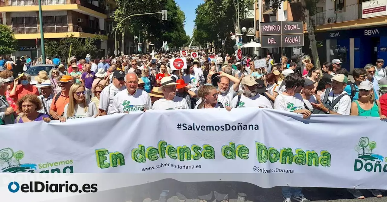 Una manifestación recorre Sevilla contra la ley de regadíos de PP y Vox: 'Doñana se defiende, el agua no se vende'