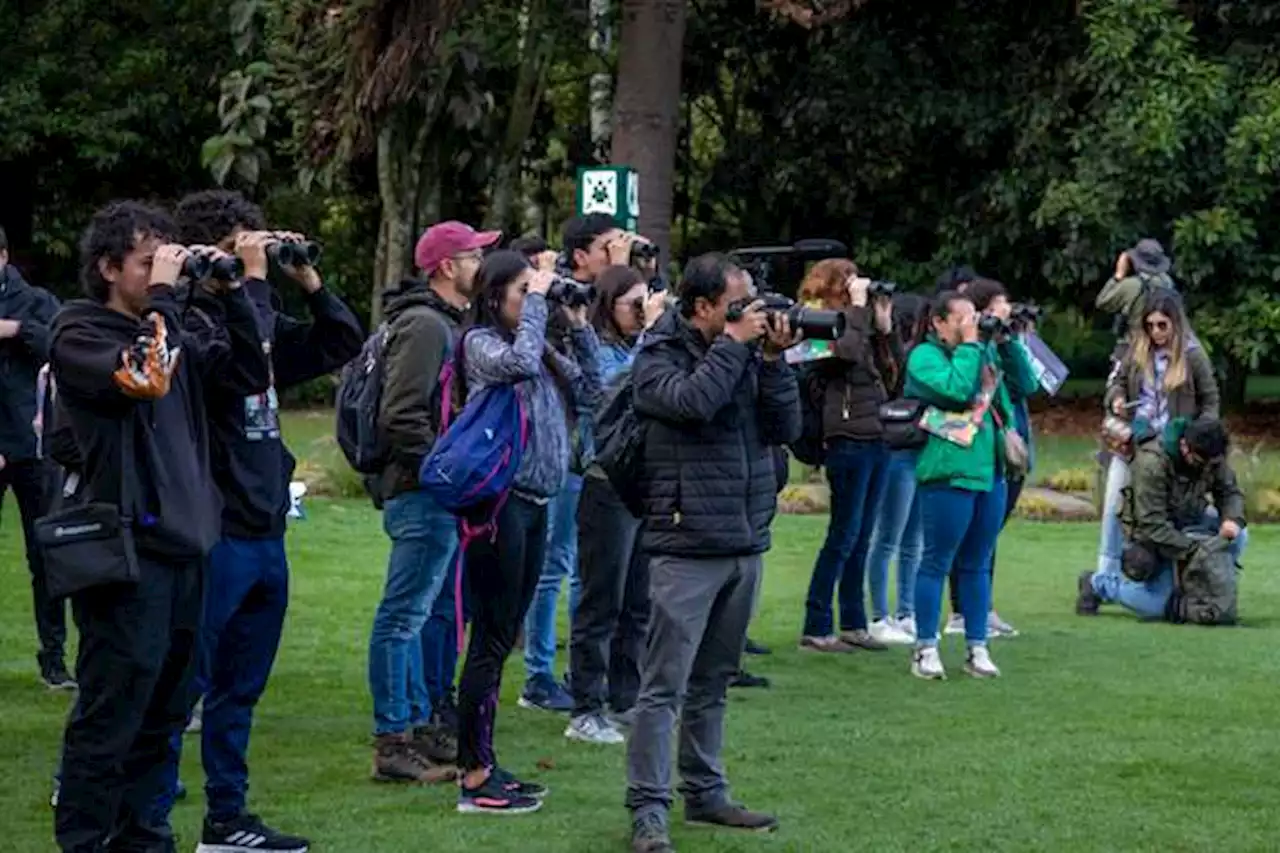 Cerca de 200 personas participaron en el avistamento de aves del Jardín Botánico