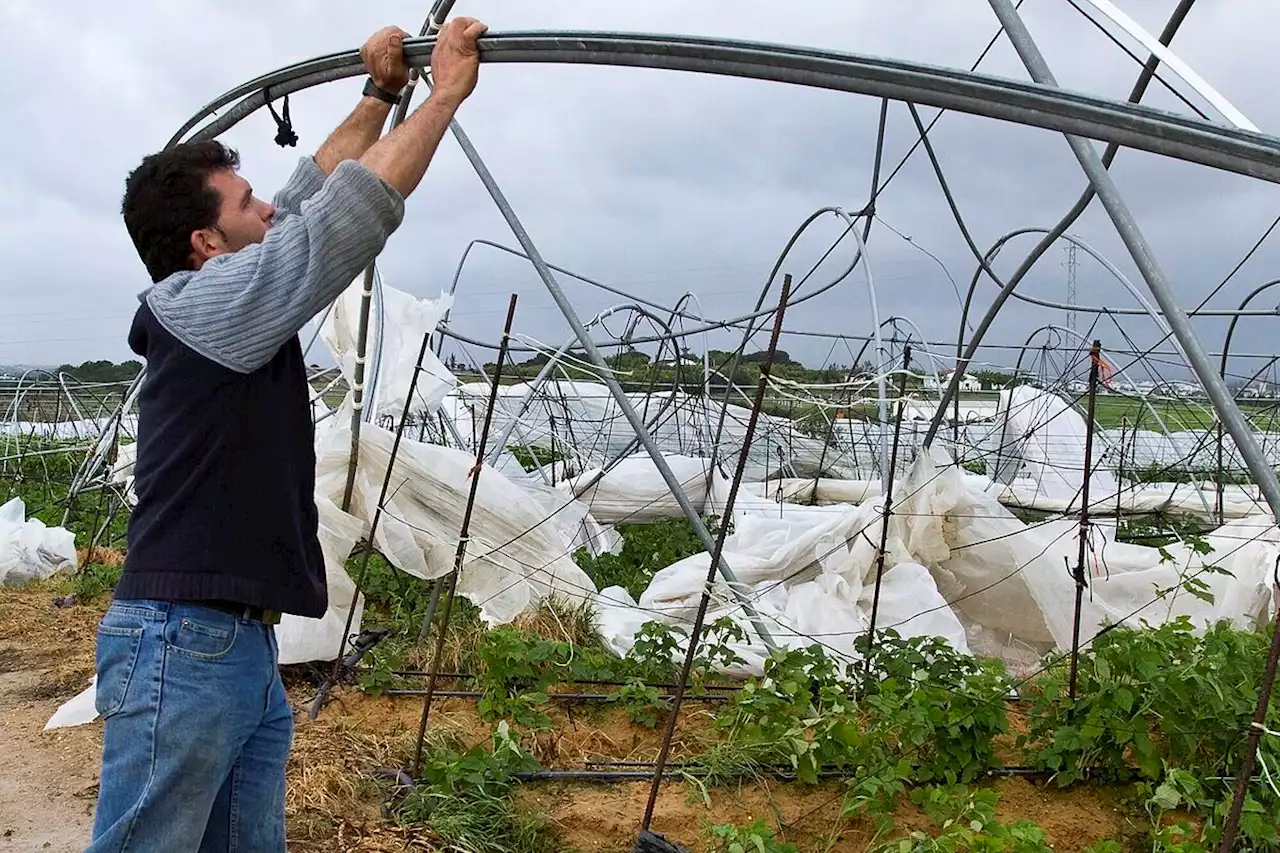 Prorrogado hasta final de año el subsidio agrario con 10 días de trabajo