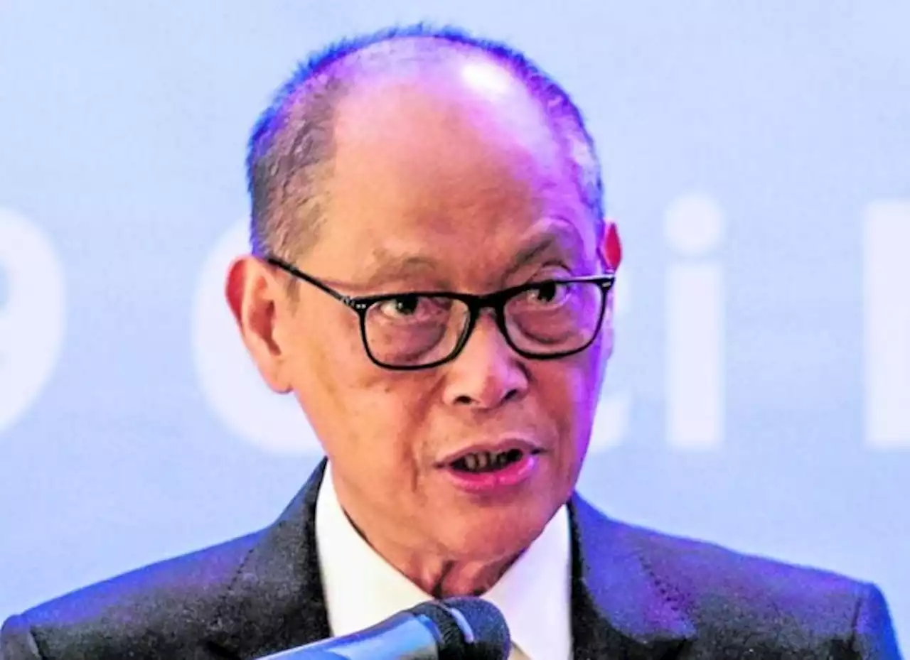 Diokno urges local governments to invest in potable water systems