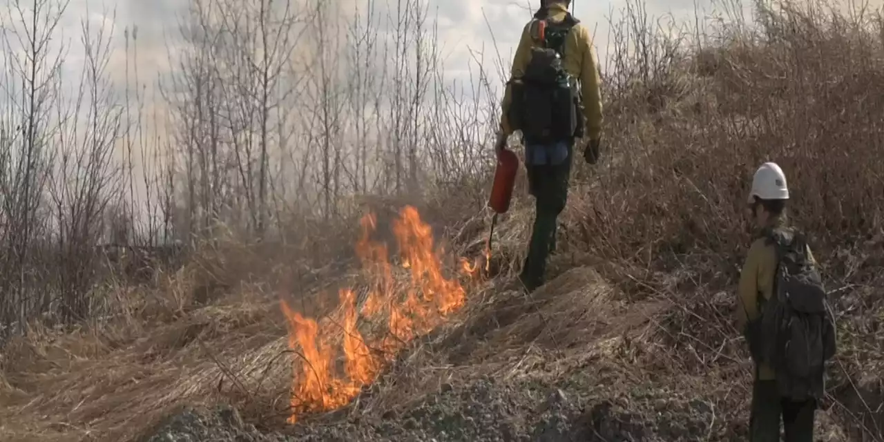 Bureau of Land Management partners with military to prevent wildfires