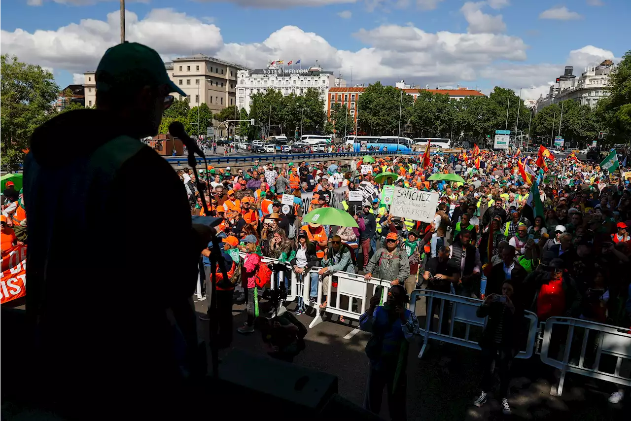 El mundo rural toma las calles de Madrid para reivindicar la importancia del campo y denunciar la falta de ayudas