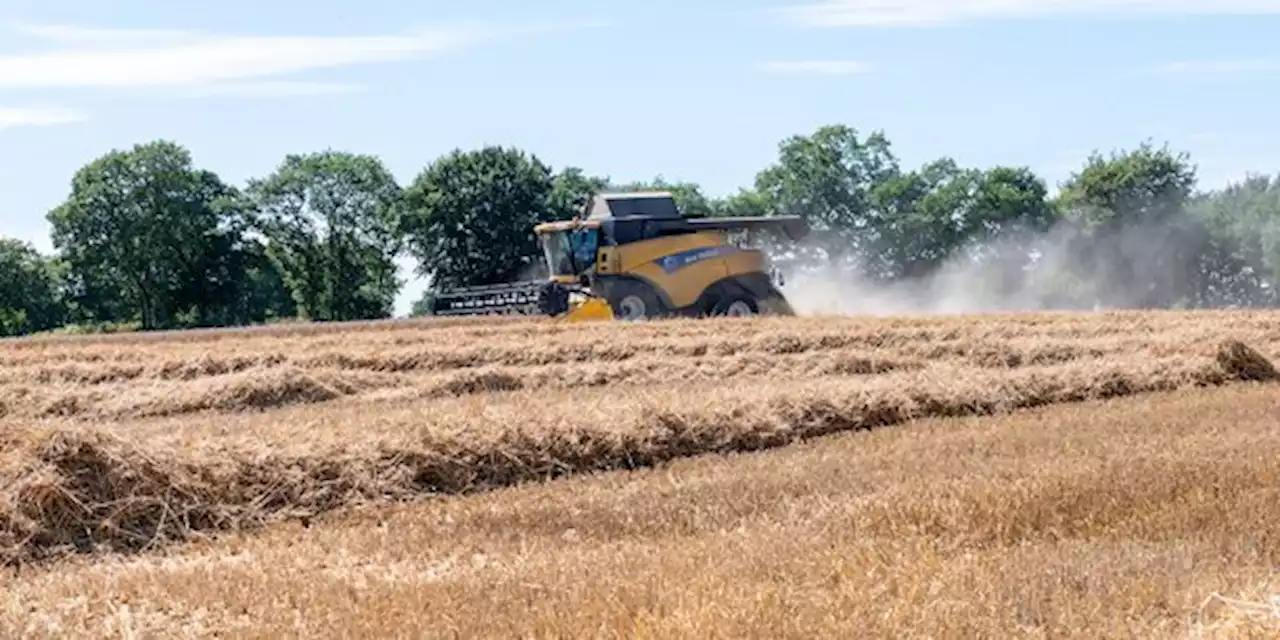 Les sénateurs au chevet d'une agriculture française de moins en moins compétitive