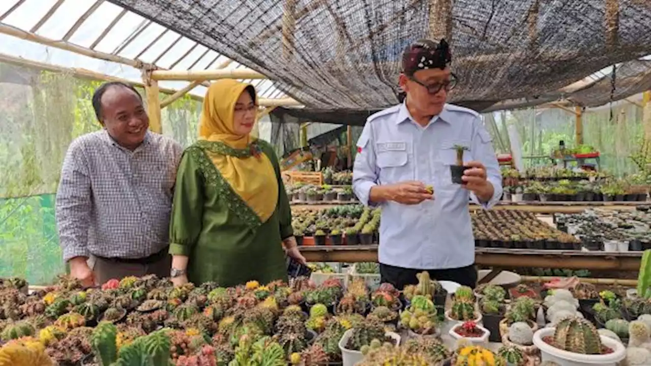 Pacu Semangat Usaha, Kementan Tinjau Young Ambassador Agriculture DIY