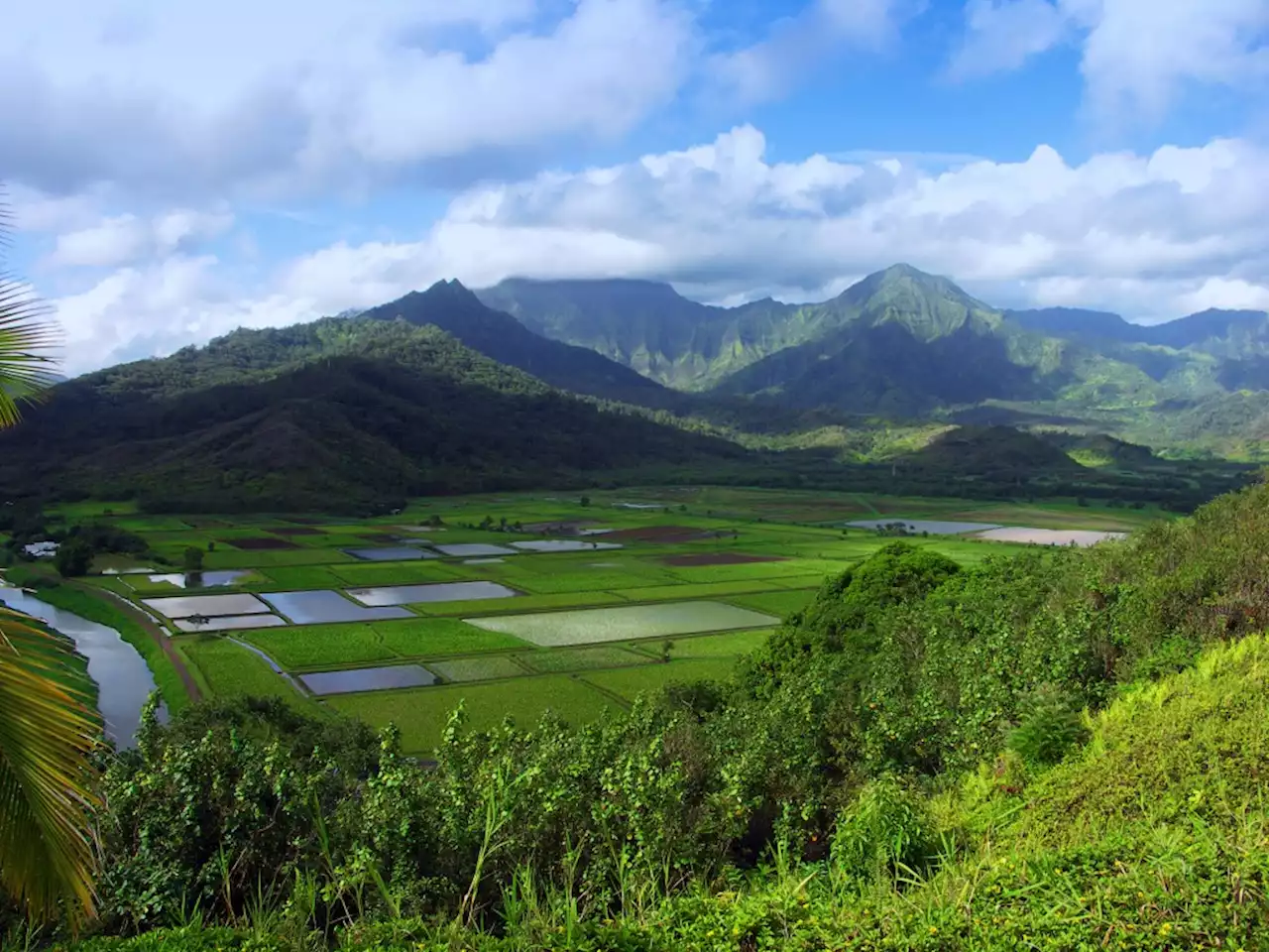 ‘Try slow’ on the North Shore of Kauai, where regenerative tourism is the way