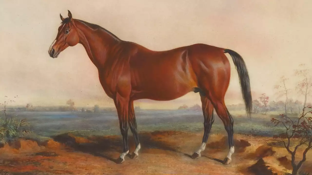 The life of Lexington, America’s greatest racehorse