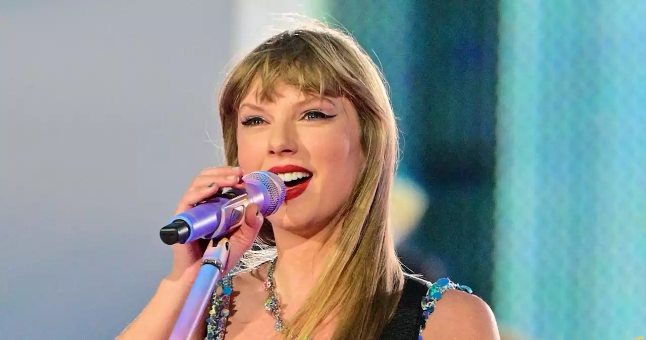 Taylor Swift Appears to Defend Fan From Security Guard at Concert