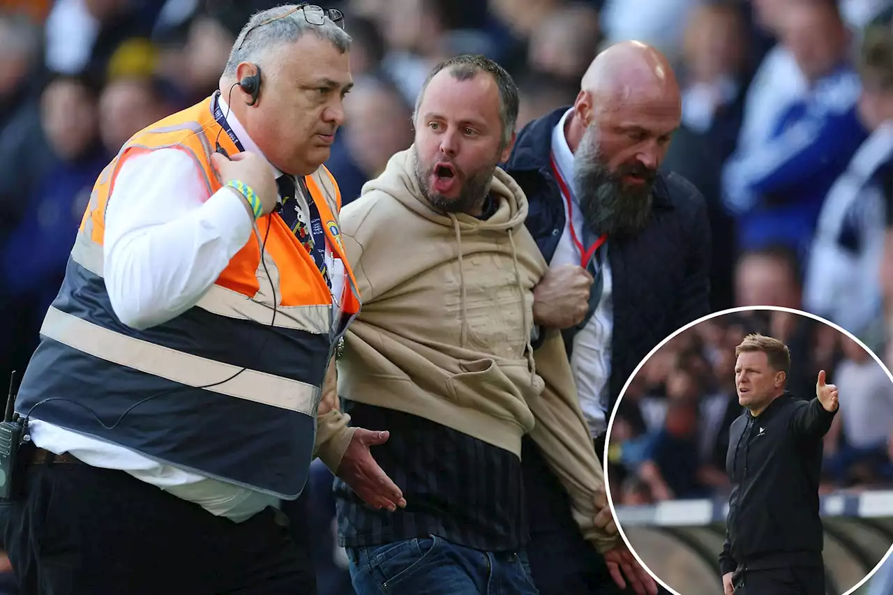 Leeds fan arrested, slapped with lifetime ban for confronting Newcastle manager mid-game