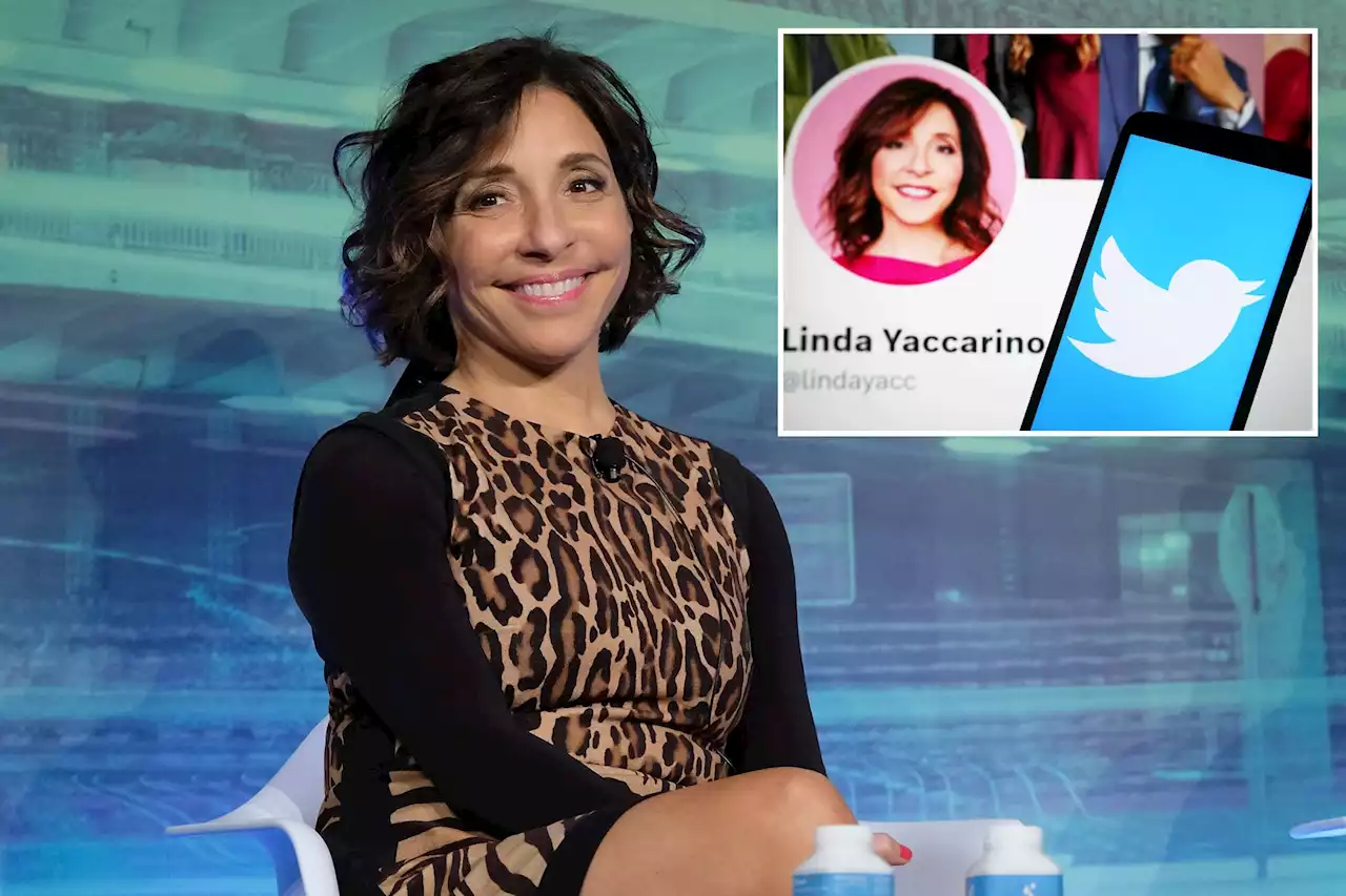 New Twitter CEO Linda Yaccarino says she is excited to help to transform Twitter