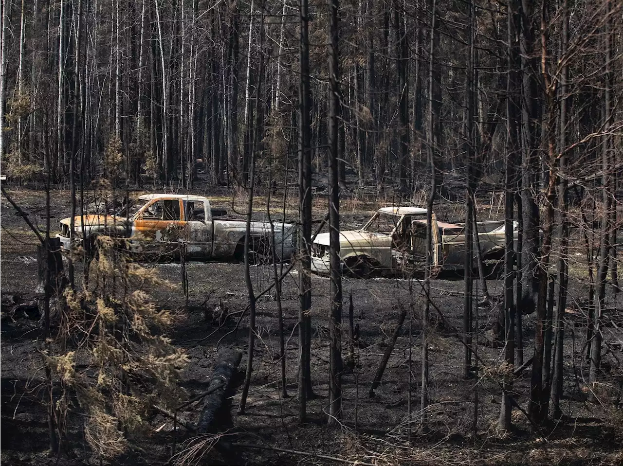 Alberta county warns of danger when residents fight wildfires themselves