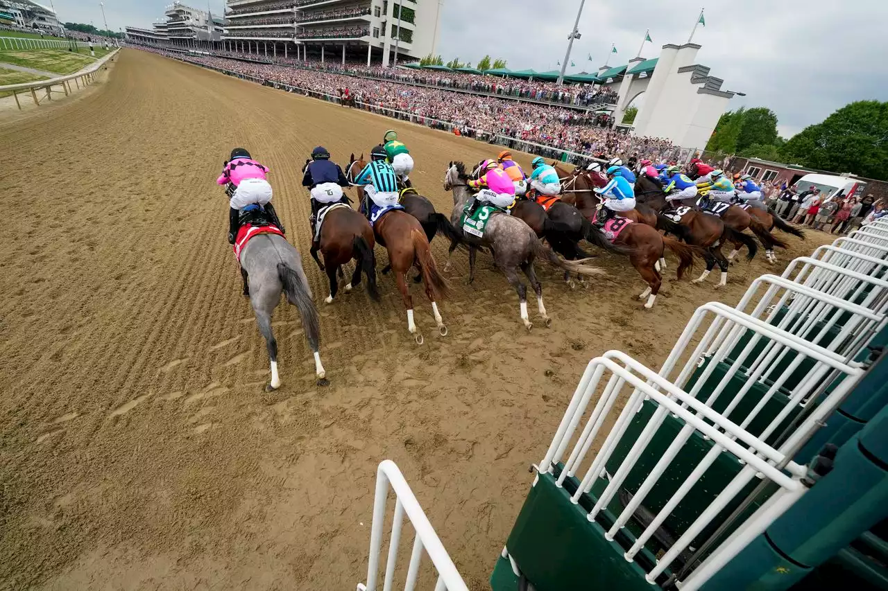 Deaths of 7 horses at Churchill Downs lead to Preakness concerns