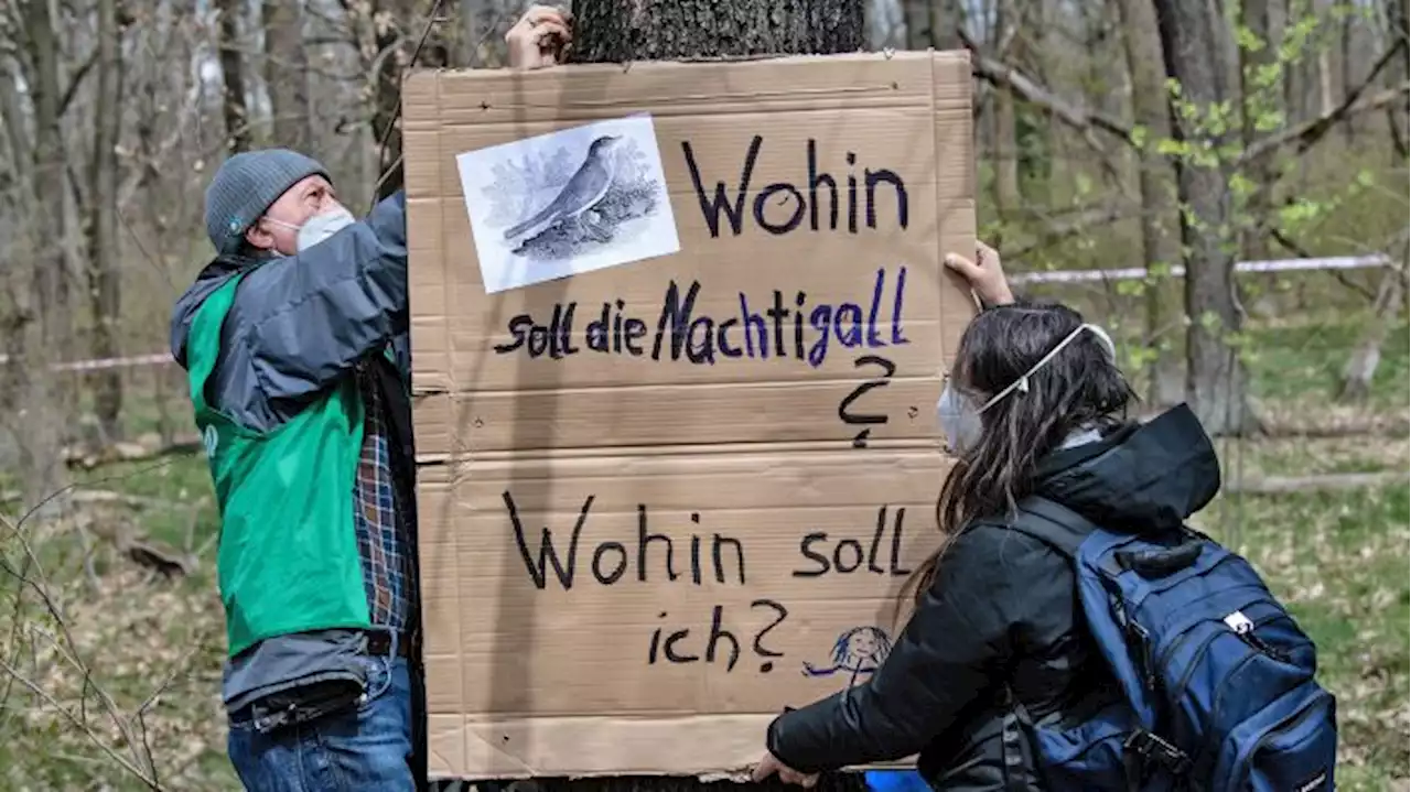 Rund 100 Demonstranten protestieren gegen Straßenbau in der Berliner Wuhlheide