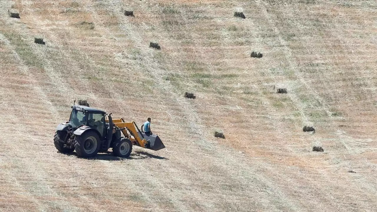 Sécheresse: en Espagne, le manque de pluie met l'agriculture en péril