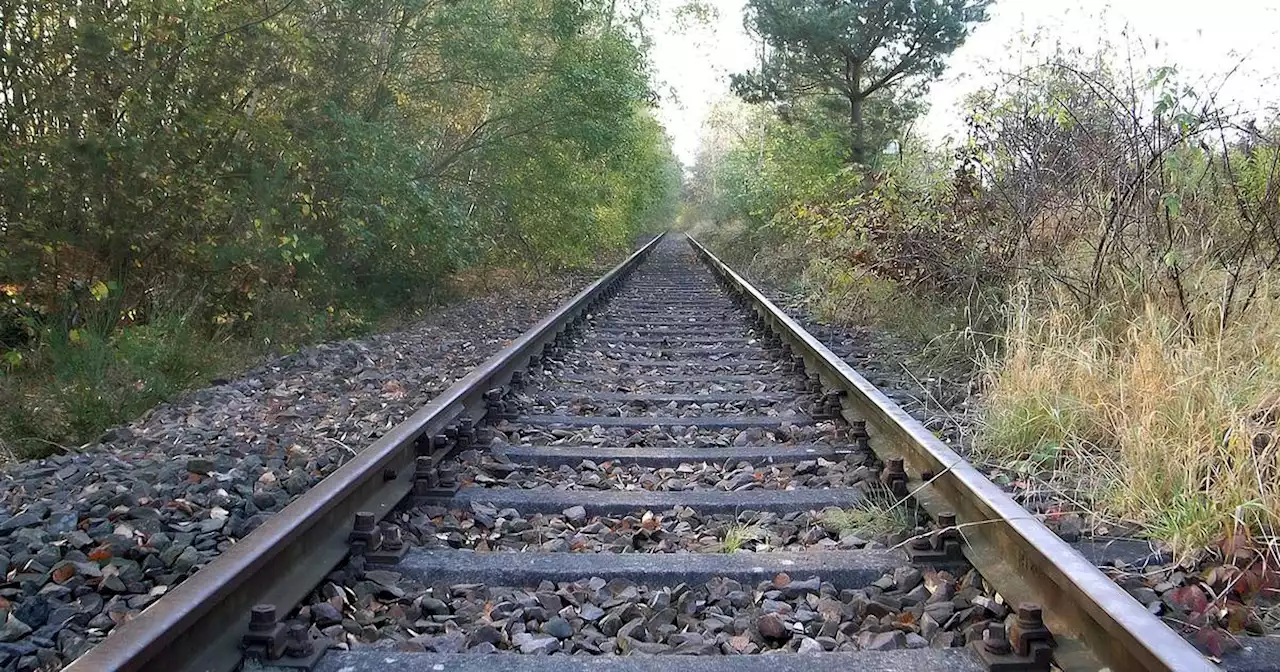 Land hält bis zu 20 000 Fahrgäste pro Tag für möglich: Diese Bahnstrecken könnten im Saarland reaktiviert werden