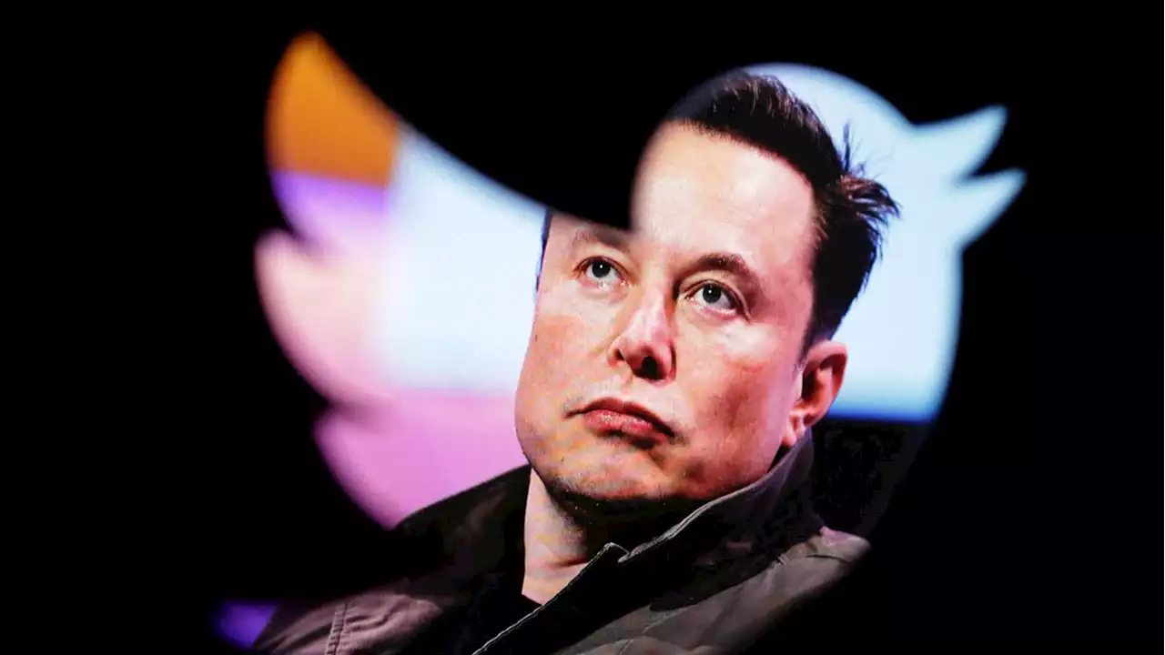 Elon Musk Gets Roasted After Twitter Bends to Turkish Censorship Request