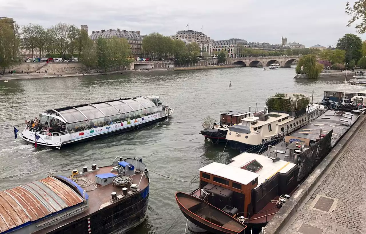 Les navettes fluviales pourraient être remises à flot pour les JO de Paris