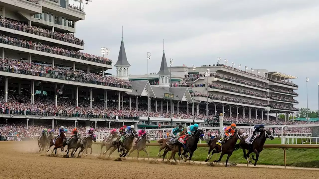 Horse dies at Churchill Downs, 8th recent fatality at home of Kentucky Derby