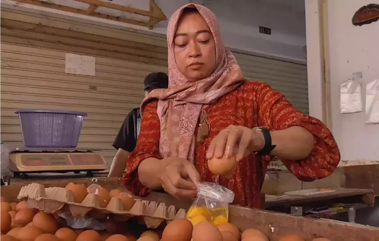 Harga Telur Terbang Tinggi, Telur Pecah Diburu Pembeli