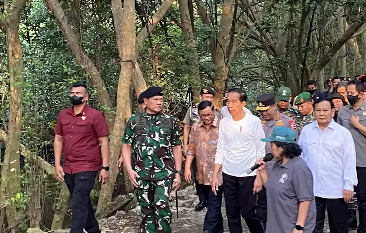 Jokowi Belum Mau Komentar soal Revisi UU TNI