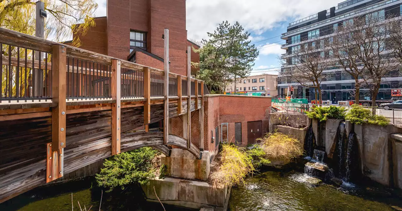 Secretive 1970s Toronto condo complex comes with gorgeous waterfall and bridge