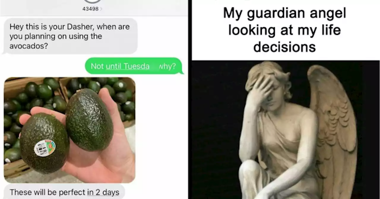50 Hilarious Memes That You Might Appreciate If You Speak Fluent Sarcasm (New Pics)