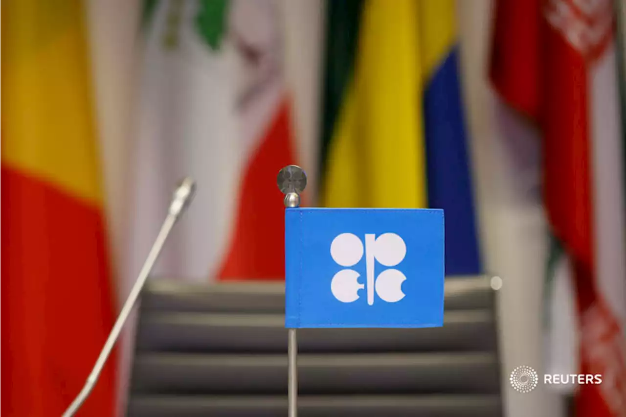 BVTV: Oil spat | Reuters Video