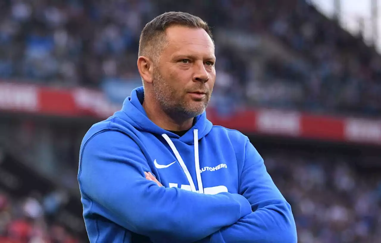 Dardai über Hertha-Transfers: Zu viele Schickimicki-Spieler