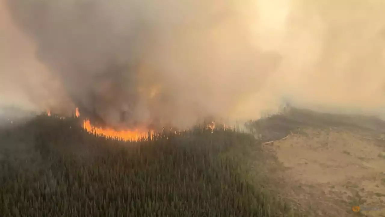 Canada PM Trudeau to visit Alberta as wildfires rage