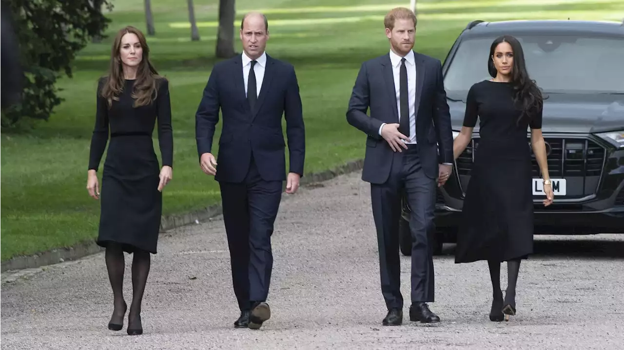 Astrologie : William et Kate, Harry et Meghan... Ce que les astres réservent à leur couple