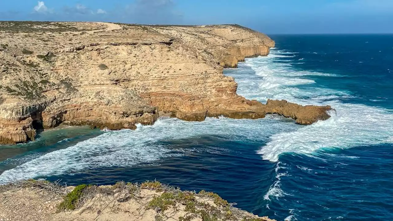 Teacher feared dead after shark attack off South Australia | CNN